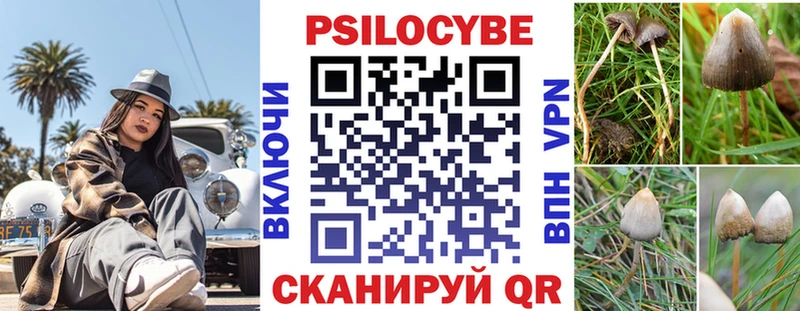 Галлюциногенные грибы Psilocybe  Купить  Лыткарино 